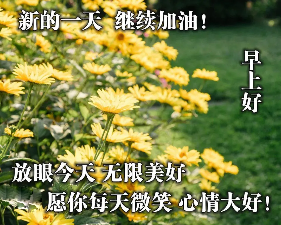 「2021.05.19」早安心语,正能量又是充满希望的一天继续笑着向前