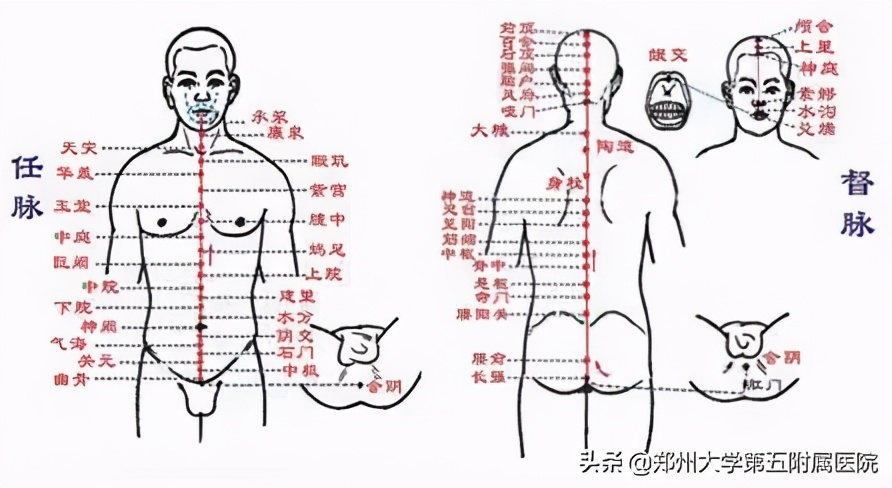 关元的准确位置图图解图片