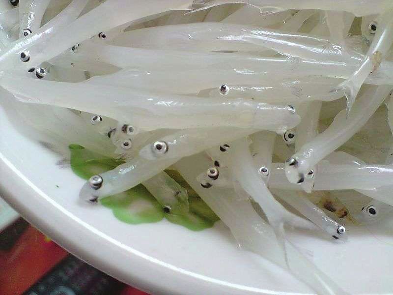 只在水边和船上烹饪,一般吃不到