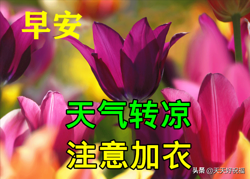 11月6日特别漂亮早上好祝福动态图片大全,深秋早晨好美图大全