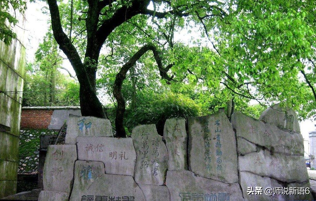 江西宜春这四所实力很强的高中，你知道有哪些吗？