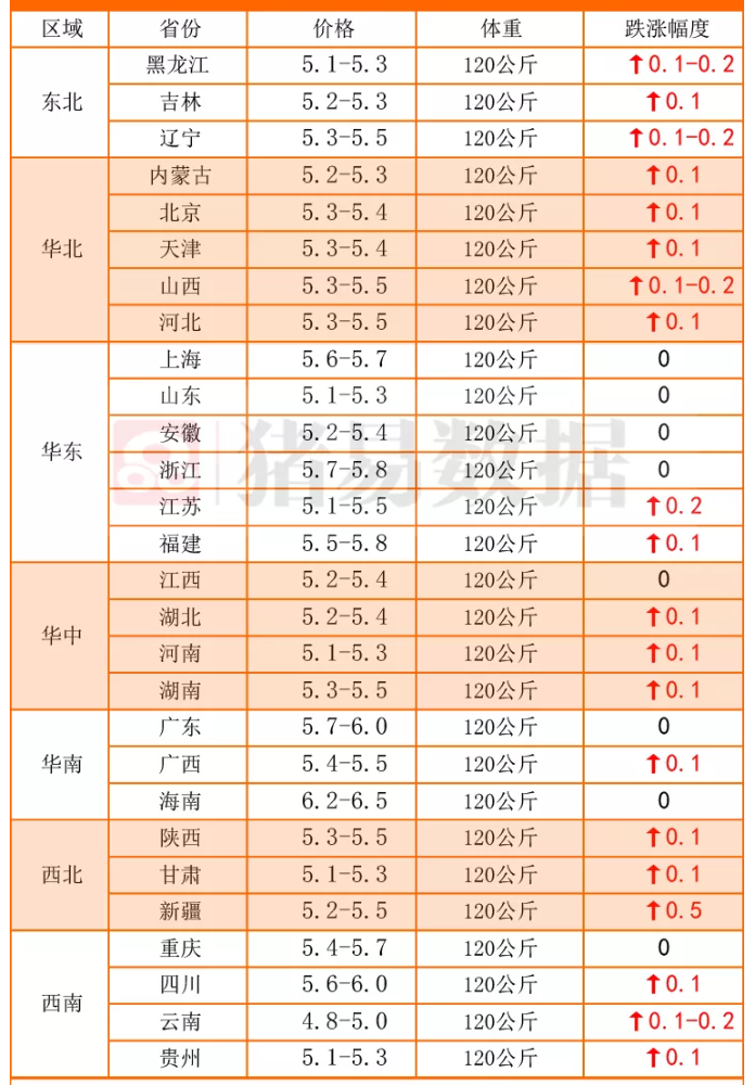 10月12日，猪价6连涨、涅槃重生！3个新变化，猪价上涨稳如磐石？