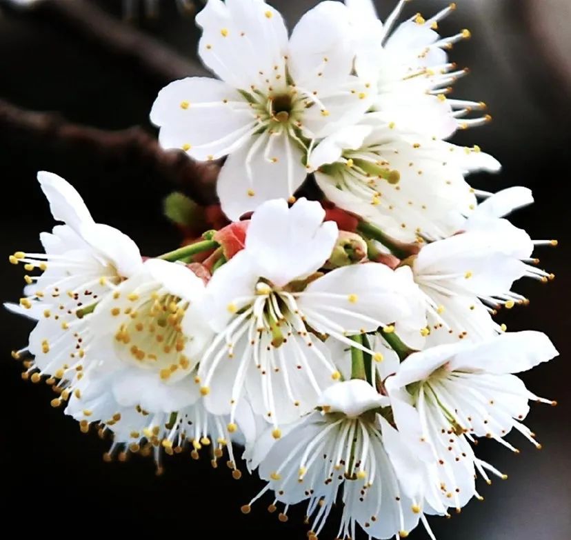 海安市城东镇西场小学韦钰：走出舒适圈——我的首次三年级之旅