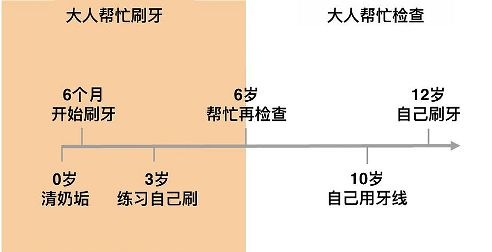 宝宝多大可以刷牙，只能等到换牙的时候吗？建立刷牙习惯很重要