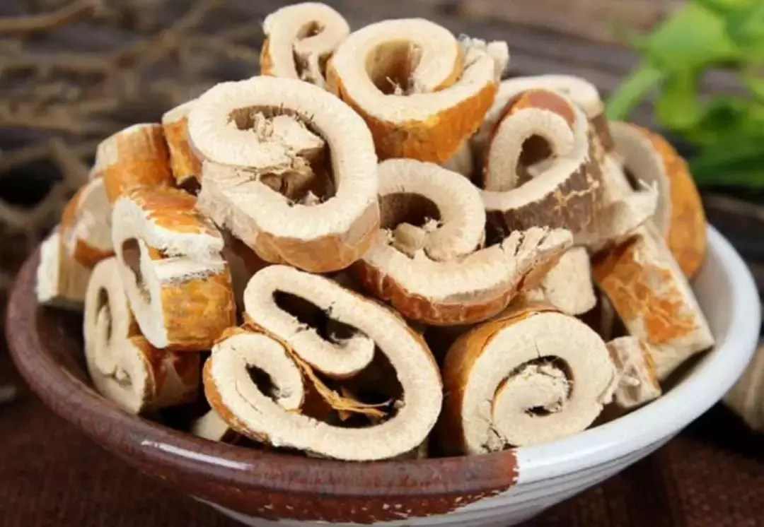 胡博士说中药 | 桑树全身都是宝,而桑白皮这块"宝"不可忽略!