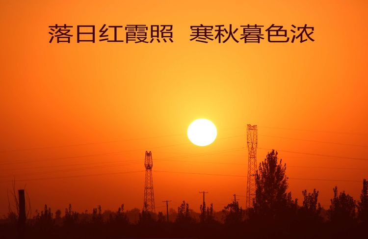 刘顺虎：远瞻红日染秋色 近看墨翁画腊梅