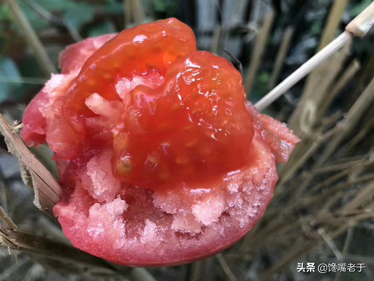 現(xiàn)在的西紅柿又酸又硬？老菜農(nóng)：牢記4點(diǎn)，沙甜多汁，一挑一個(gè)準(zhǔn)
