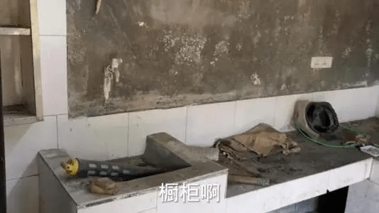 古天乐学校荒废多年没用处，是为积攒人气？能“黑”他的只有太阳