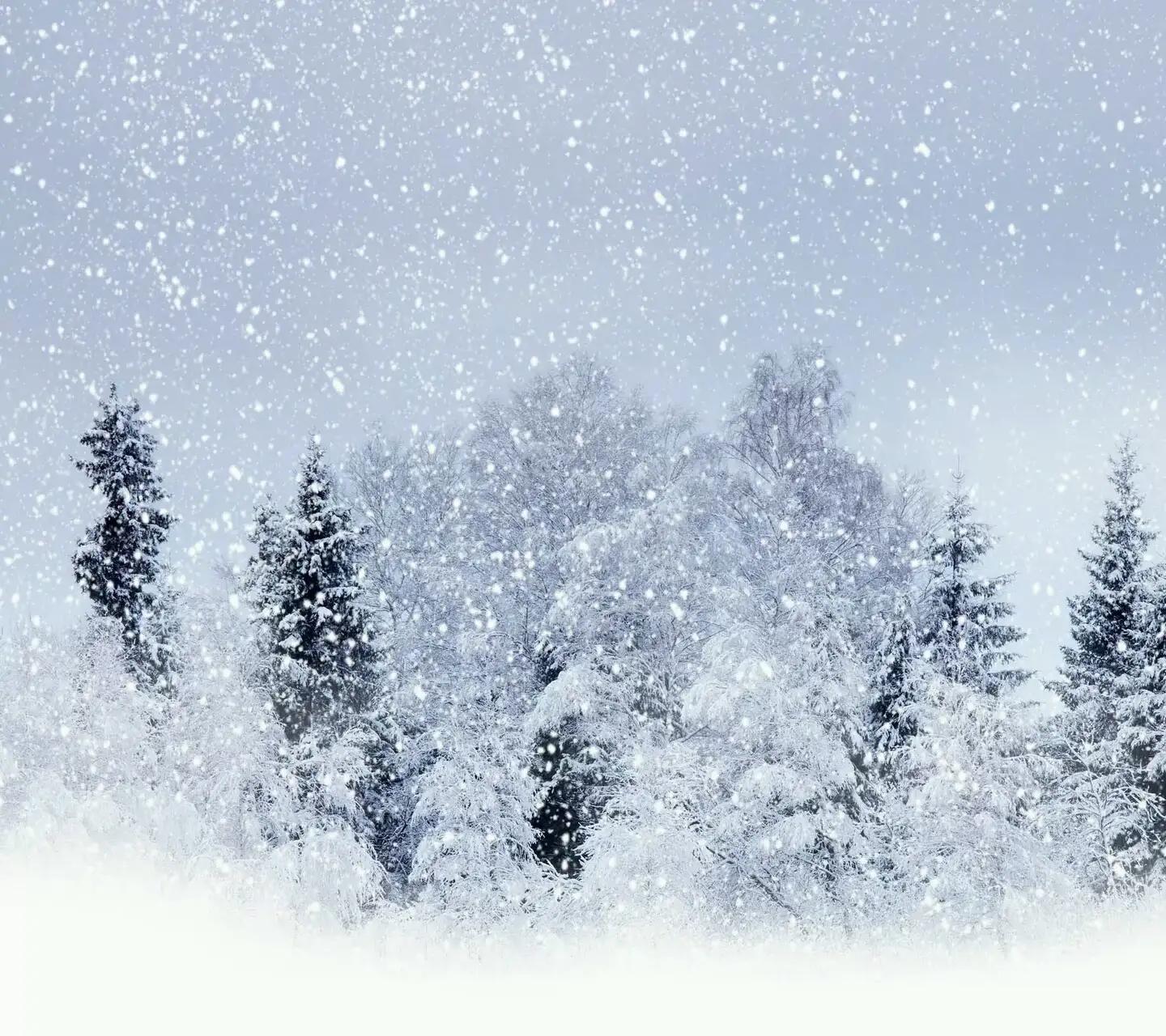 「原创」北风吹，雪花飘