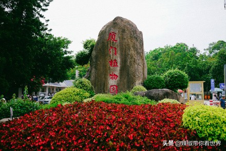大好河山：闽南（厦、漳、泉）三城 各领风骚