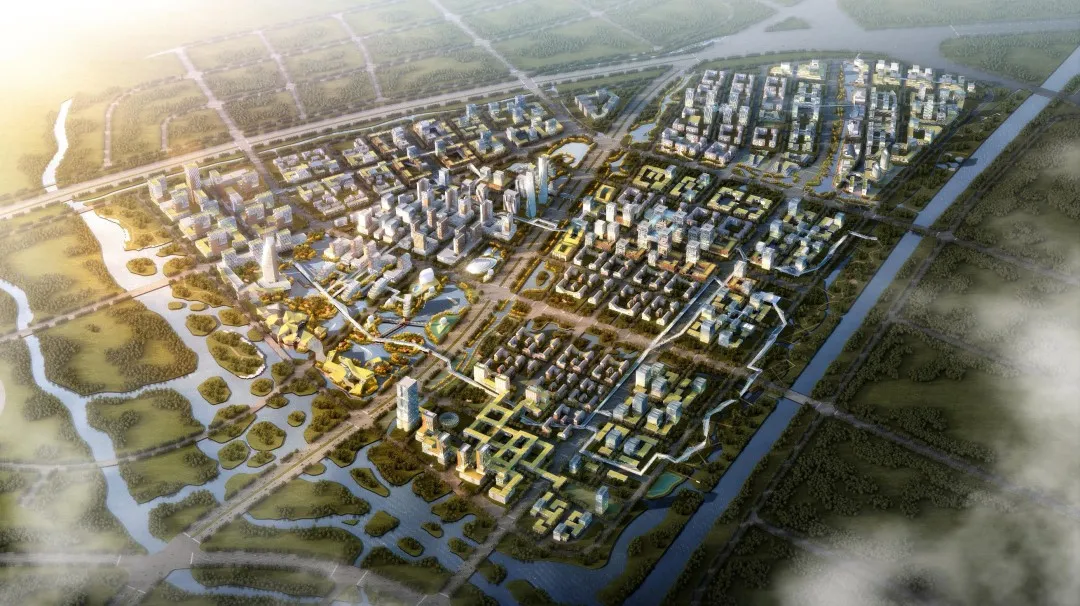 AATU青年 | 云程发轫的规划师——2020新锐新锐陈雨祺