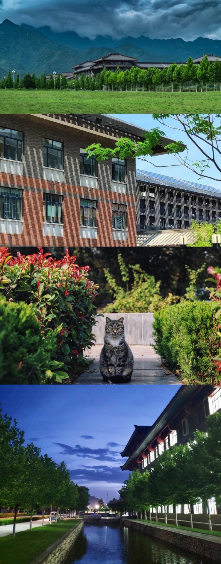 占地180公顷,毗邻长安八景之一,位置优越,陕西这个地方美成了仙境