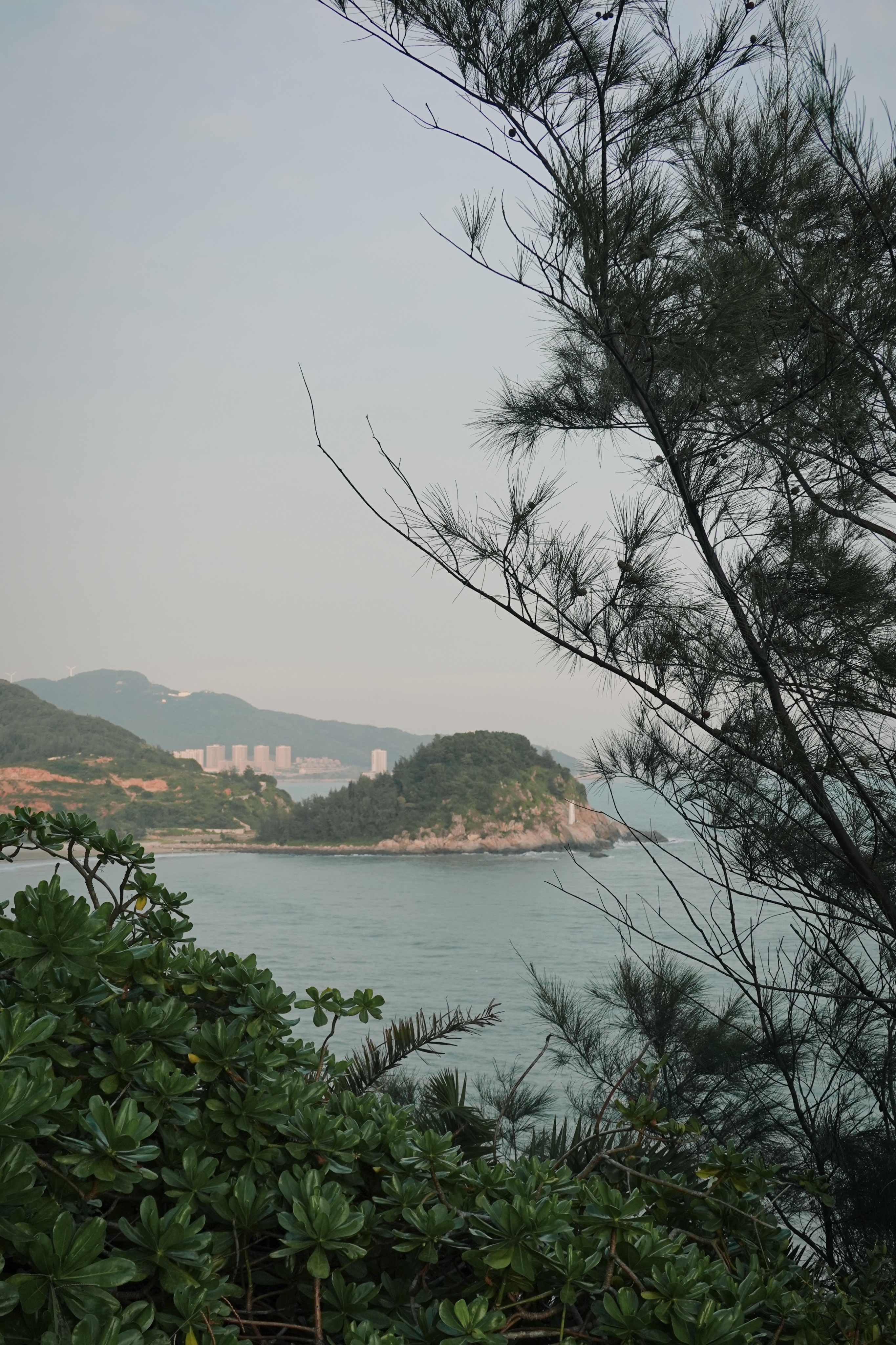 阳江市有哪些名人旅游点