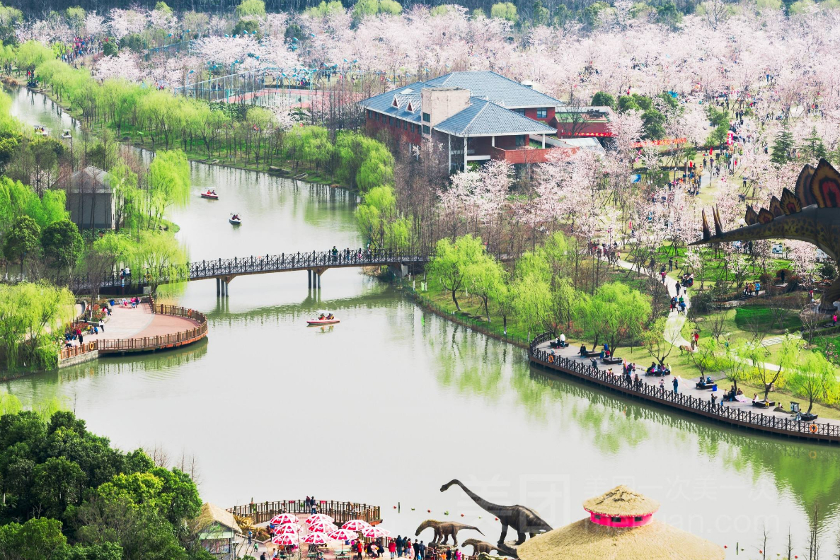 在上海的宝山区有处名为顾村公园的公园景观,整个公园的占地面积足足