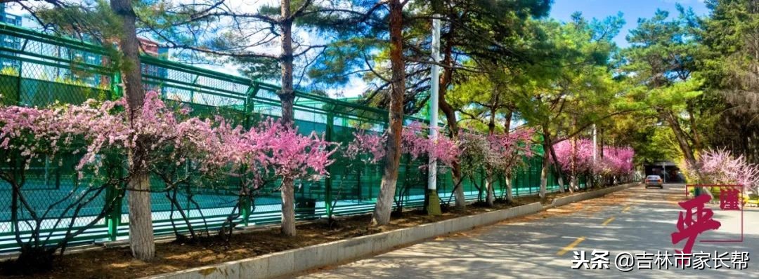 高考必读：东北电力大学吉林省录取分数线