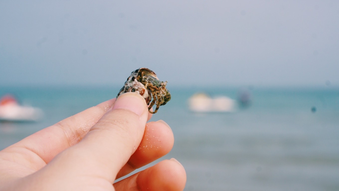 一个人来北海看海了