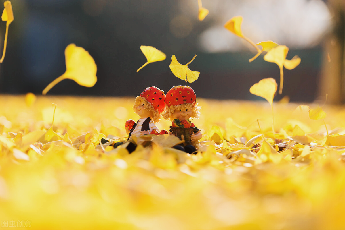 02 好的友情,虽不常联系,依然默默关注你