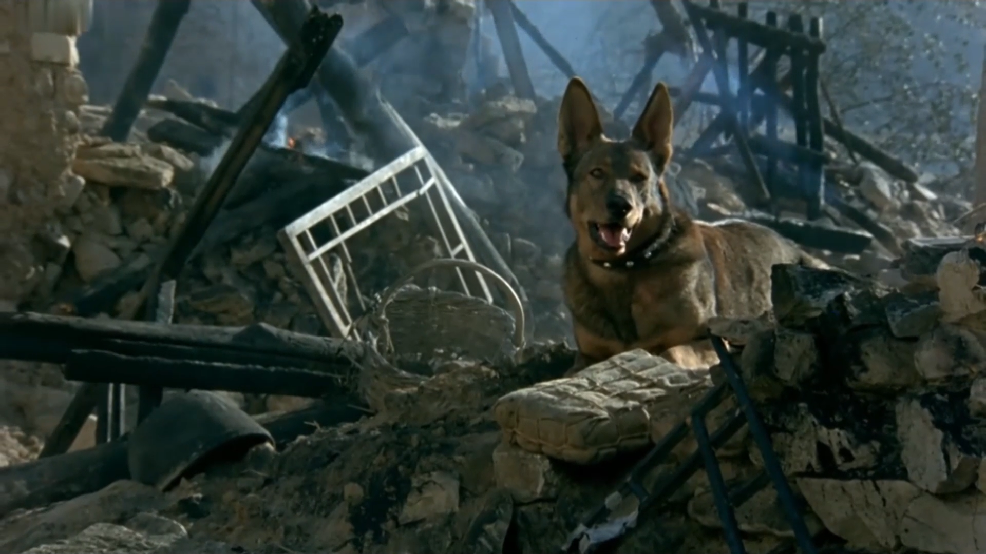 中国犬王:让日军哭爹叫娘,让80后90后念念不忘的经典影视解读