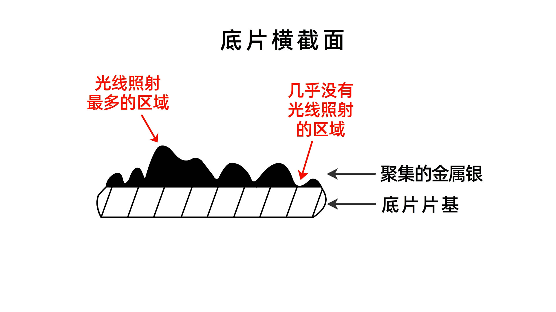 一看就懂：冲洗底片和照片的原理