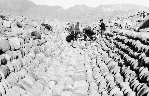 17位老人在宾馆地毯上睡了一夜，他们是谁？