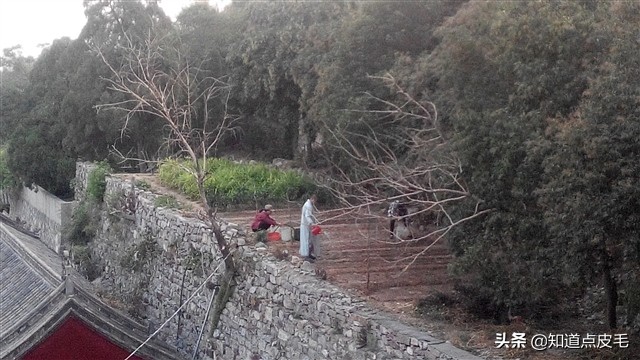 八極拳祖庭,少林寺下院——