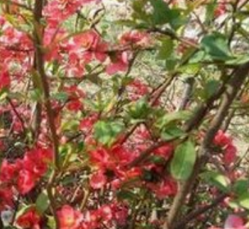 天津财经大学2018理科录取分数