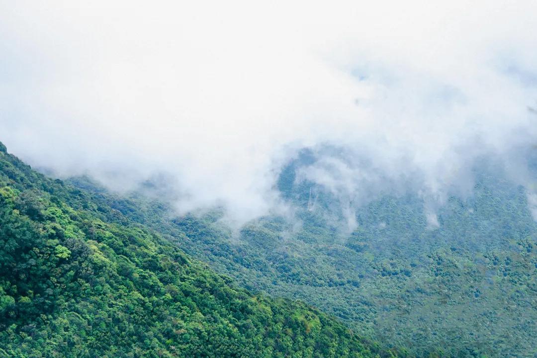 深圳值得征服的10座山，你去过几座？