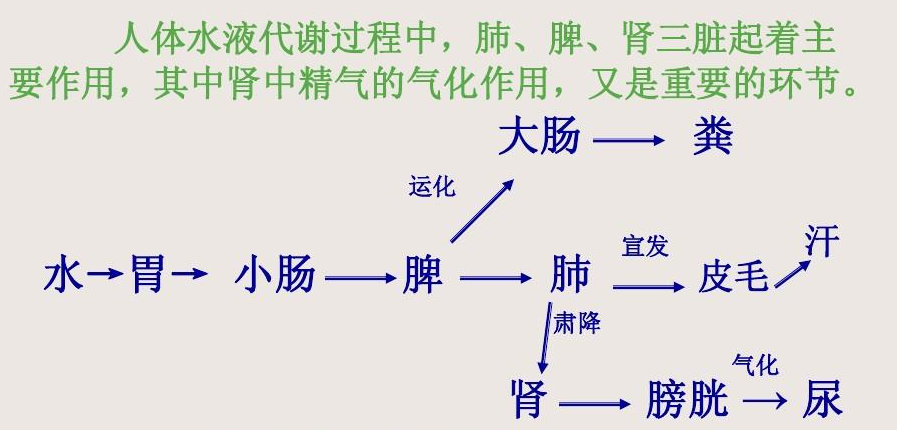 “肾积水怎么办？能不能出一期？”；医生说：关键是要清楚原因