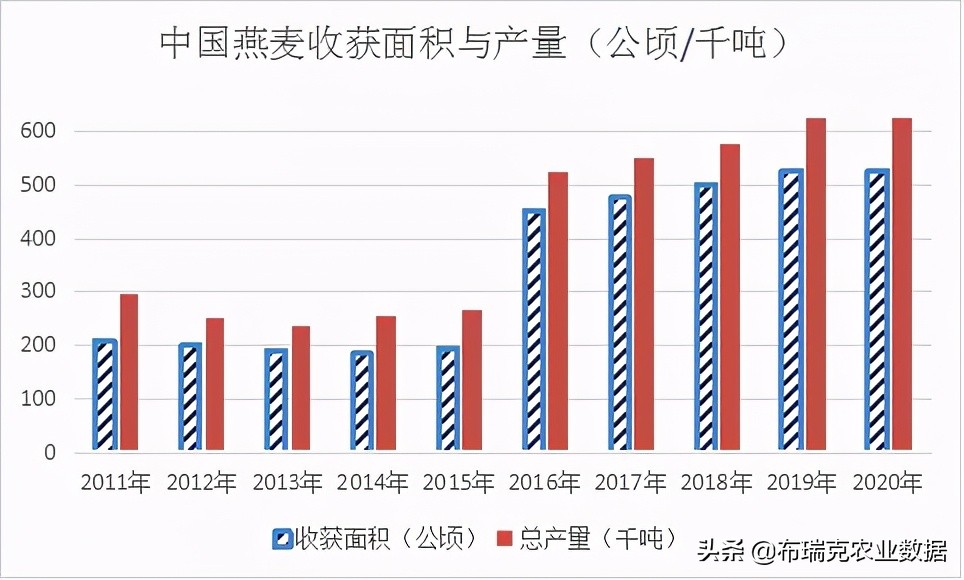 我国燕麦的消费量逐年提高，以饲用消费量为主，食用消费量为辅