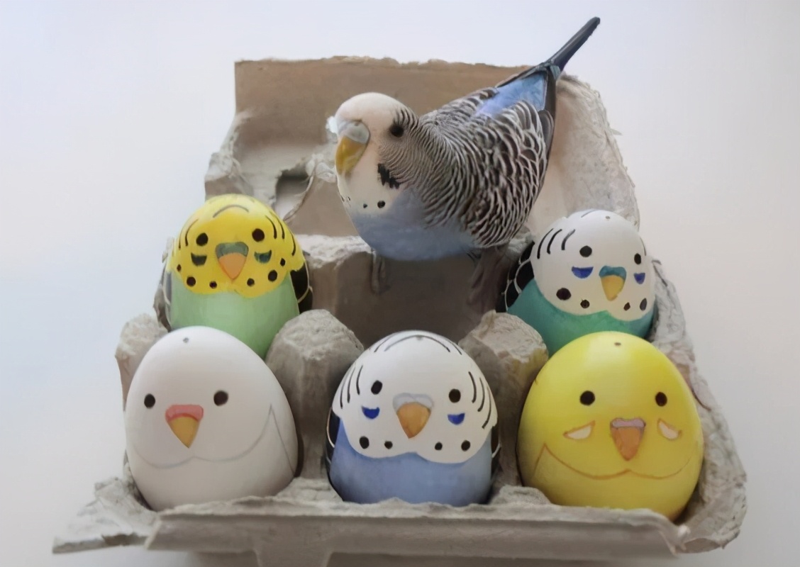 鸡蛋画画(在鸡蛋上画画,充满童趣,大人孩子都喜欢,diy创意手工)