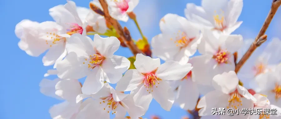 100首春天唯美古诗词（值得收藏！）