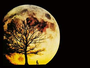 有关月亮的神话传说(关于月亮的中国神话)