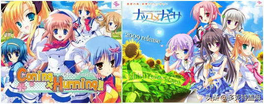 《金辉恋曲四重奏》:青春纪行与金色的时光