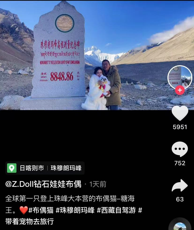 博猫怎么注册（网红被指博眼球）