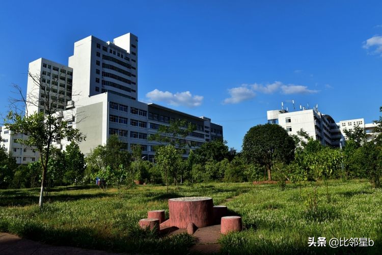 5月28日第四轮考研调剂信息：安徽大学、河海大学、重庆大学等