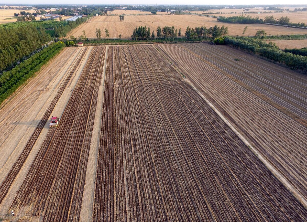 7月起，官方给农民发“2笔钱”，直发一卡通，3类农民领不到