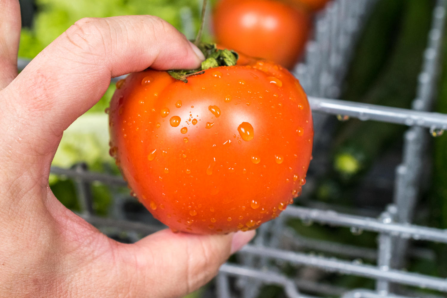 80℃智慧微蒸汽-海尔haier 家用智能13套消毒型洗碗机