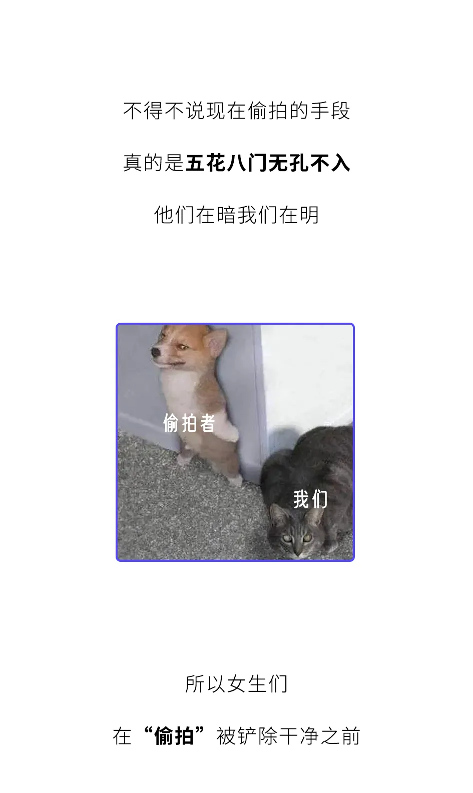 “黄色网站”上的女生，都是怎么被偷拍的？