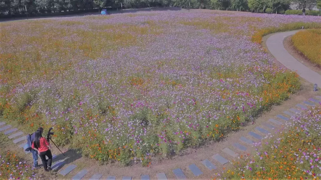 最多69天！南京高校暑假时间大PK，最少才