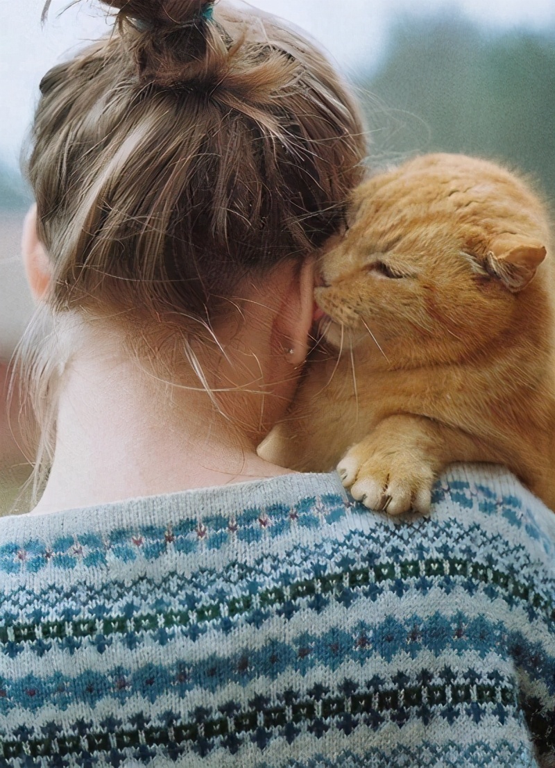 猫咪有几种表现，说明它“依赖”你