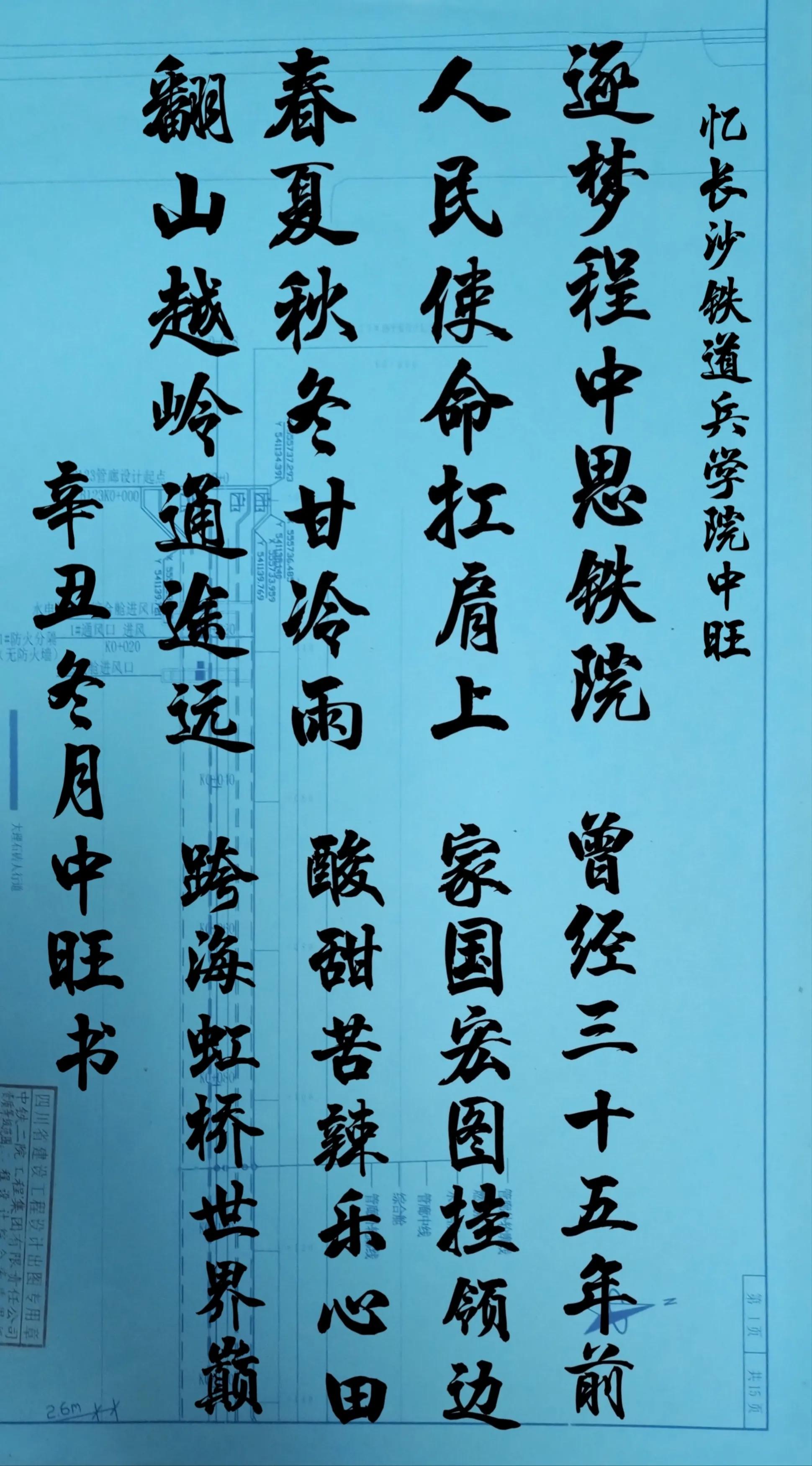 轻如鹅羽舞天涯，剔透莹莹六瓣花