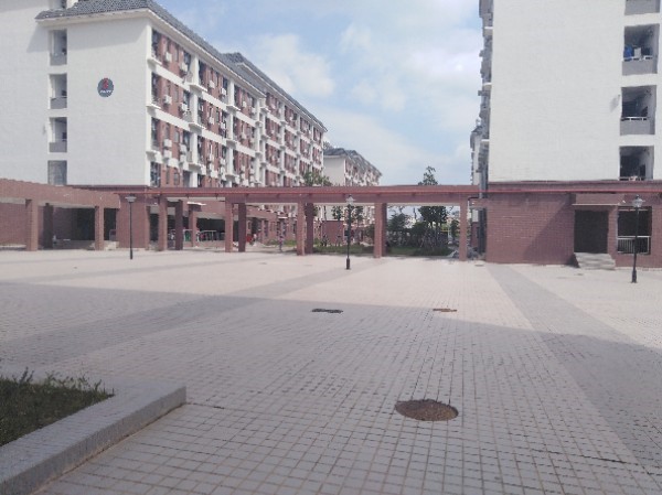 2019年兴国中学高考喜报