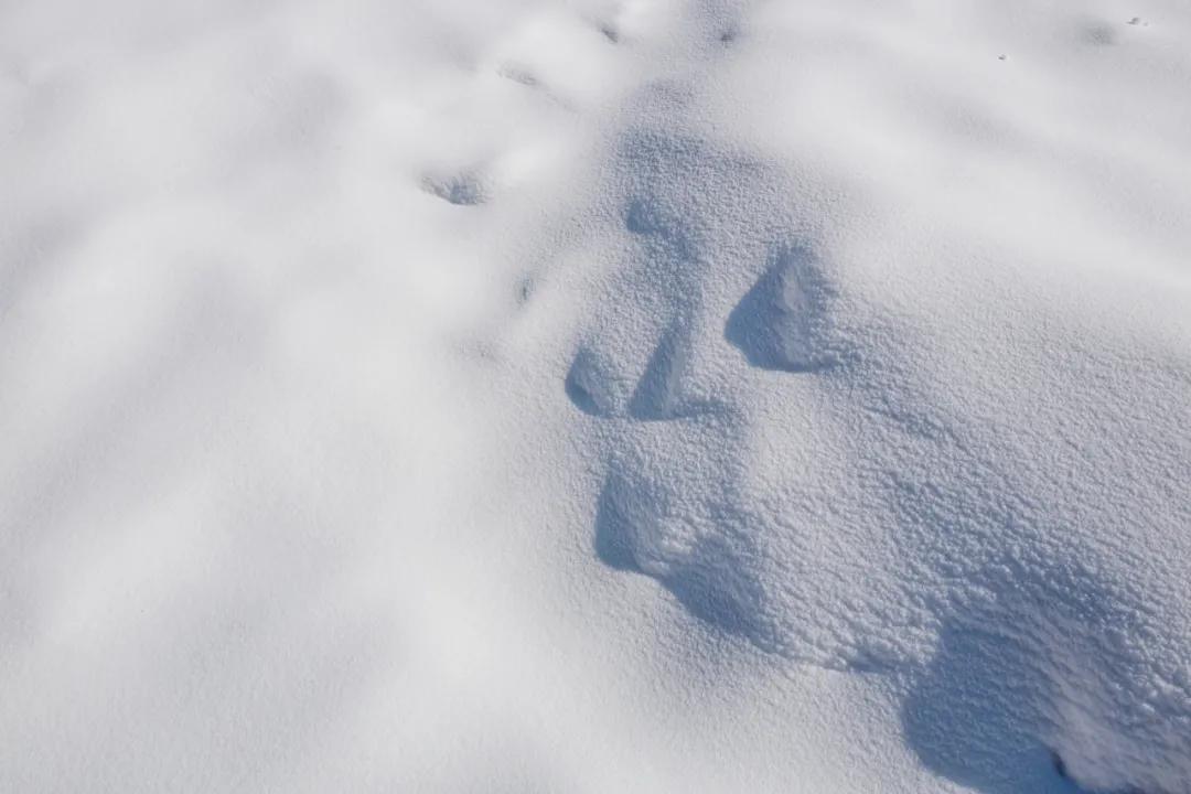 开车1小时，打卡家门口的超大滑雪场（上）