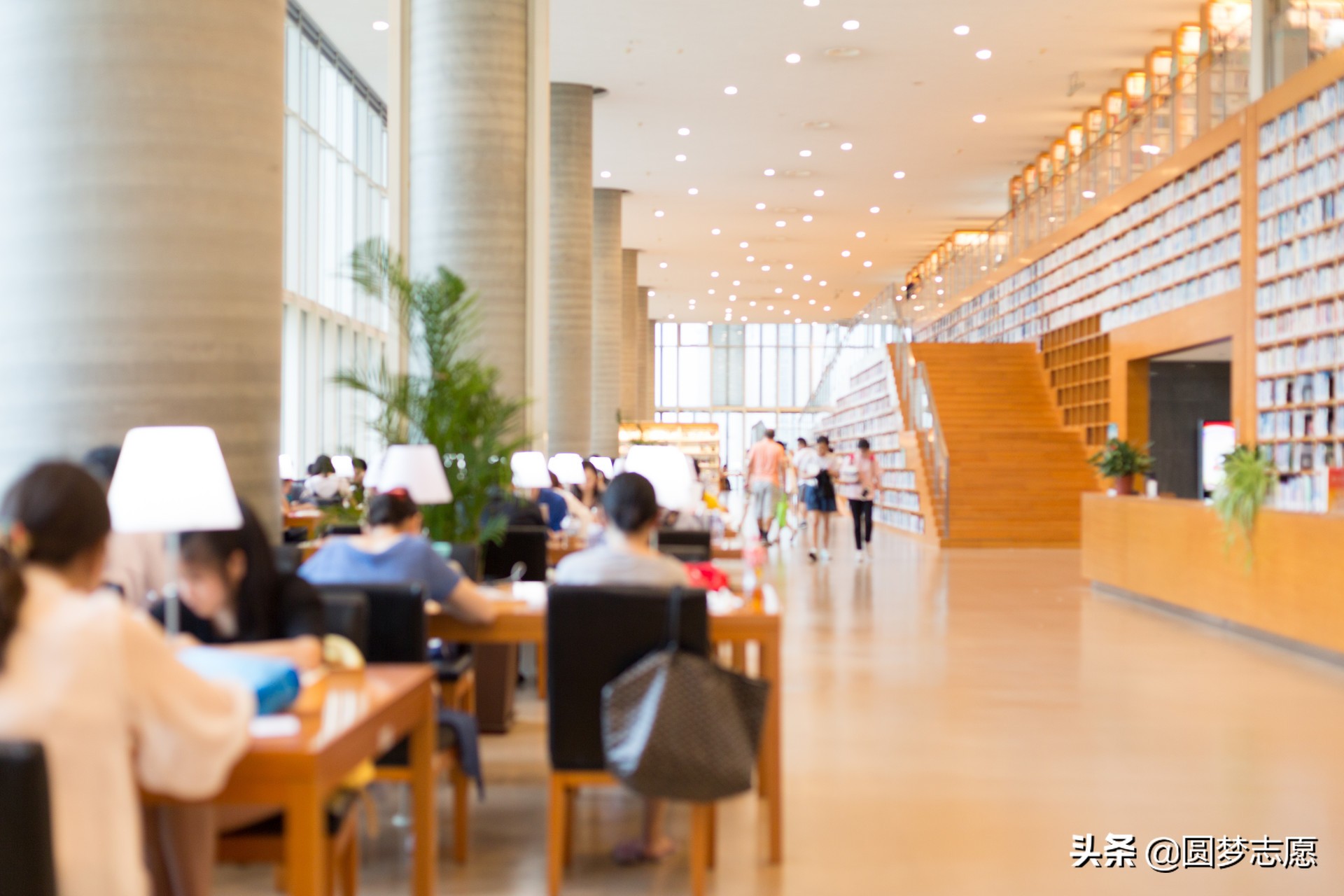 广西民办大学（非盈利民办大学）