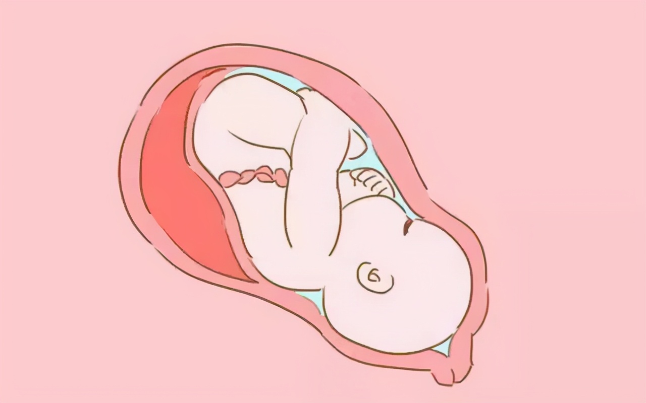 怀孕多少周胎儿算足月?