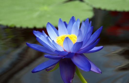 人到中年，才发现亲戚都很现实