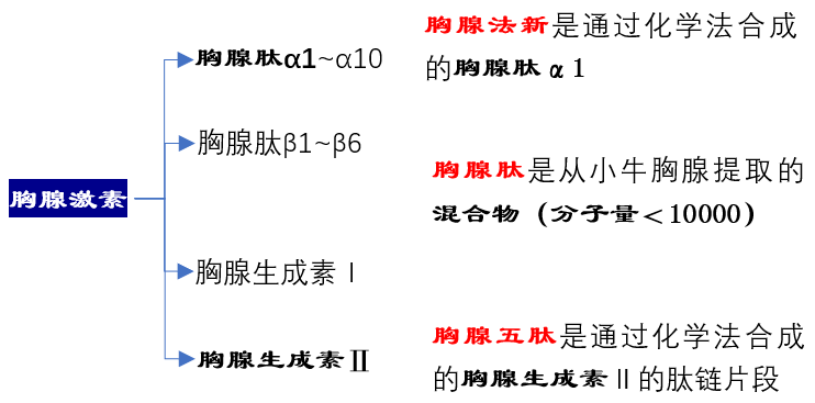 胸腺肽、胸腺五肽、胸腺法新之间的区别！