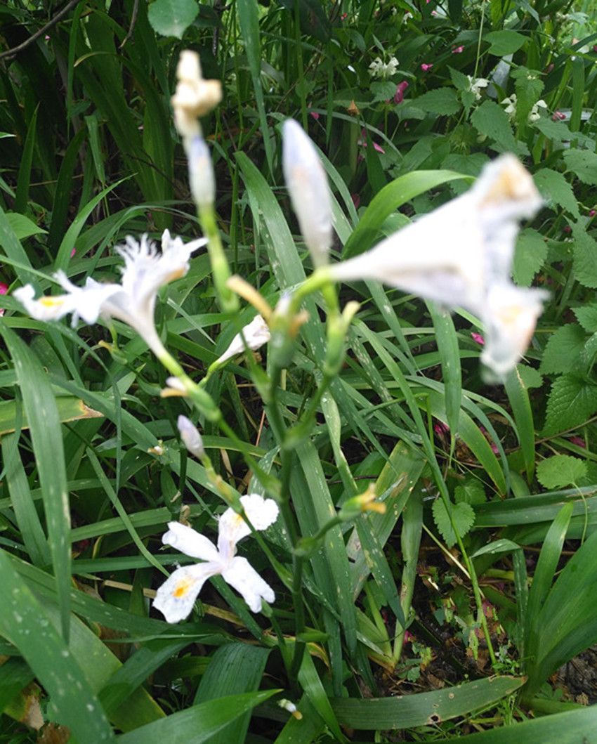 高考语文阅读答题须知：知人论世，解答才能做到客观公允