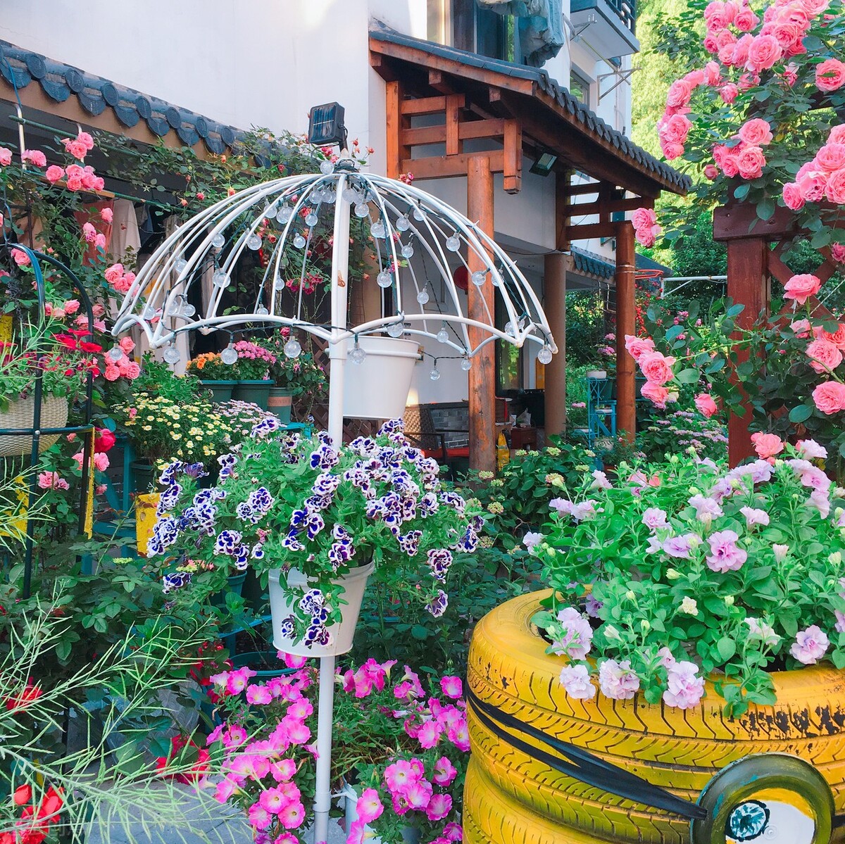 迷上养花的日子：从新手到绿意盎然的蜕变之旅