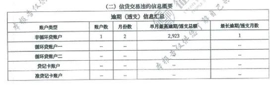 3分钟教会你看征信报告，报告体现什么信息？